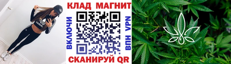 Наркотические вещества Закаменск Бошки Шишки  Кокаин  МДМА  kraken ONION  Мефедрон  ГАШИШ  А ПВП 