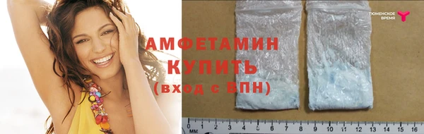 ПСИЛОЦИБИНОВЫЕ ГРИБЫ Вяземский