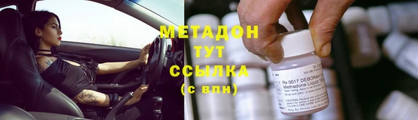 ПСИЛОЦИБИНОВЫЕ ГРИБЫ Вяземский