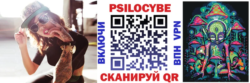 Псилоцибиновые грибы Cubensis Закаменск